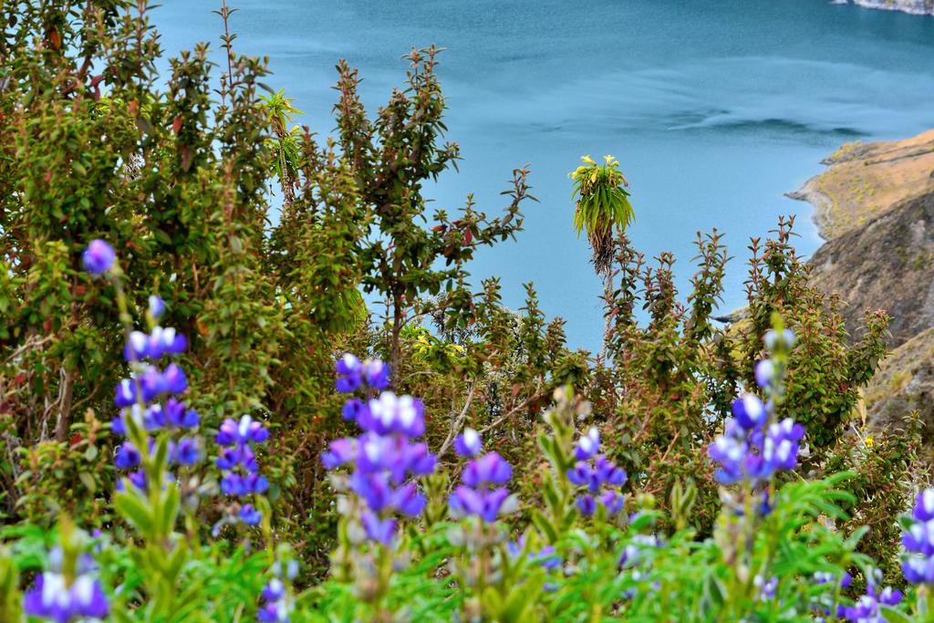 Hotel Princesatoa Quilotoa Dış mekan fotoğraf