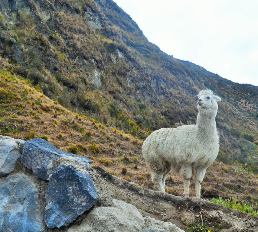 Hotel Princesatoa Quilotoa Dış mekan fotoğraf