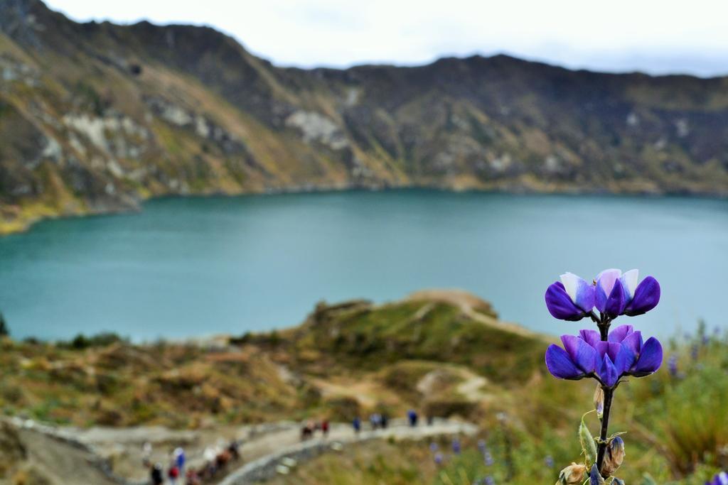 Hotel Princesatoa Quilotoa Dış mekan fotoğraf